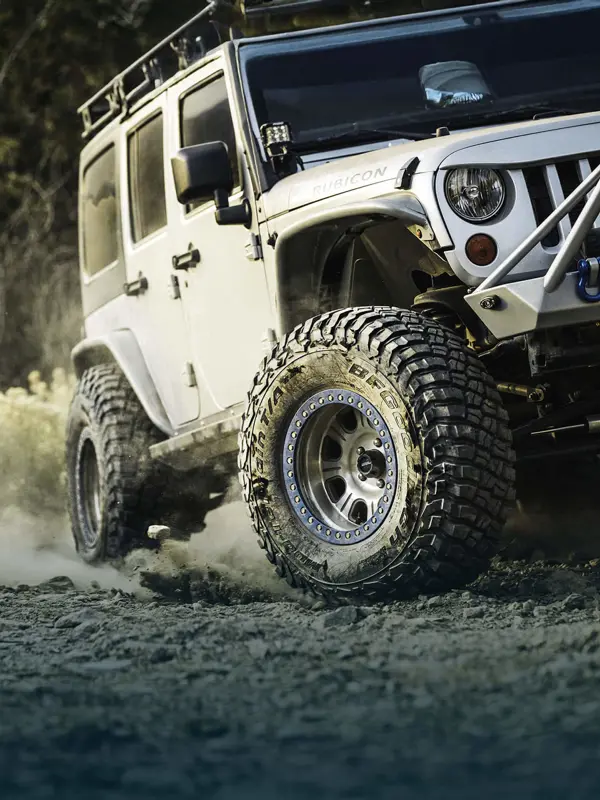 bfgoodrich banner