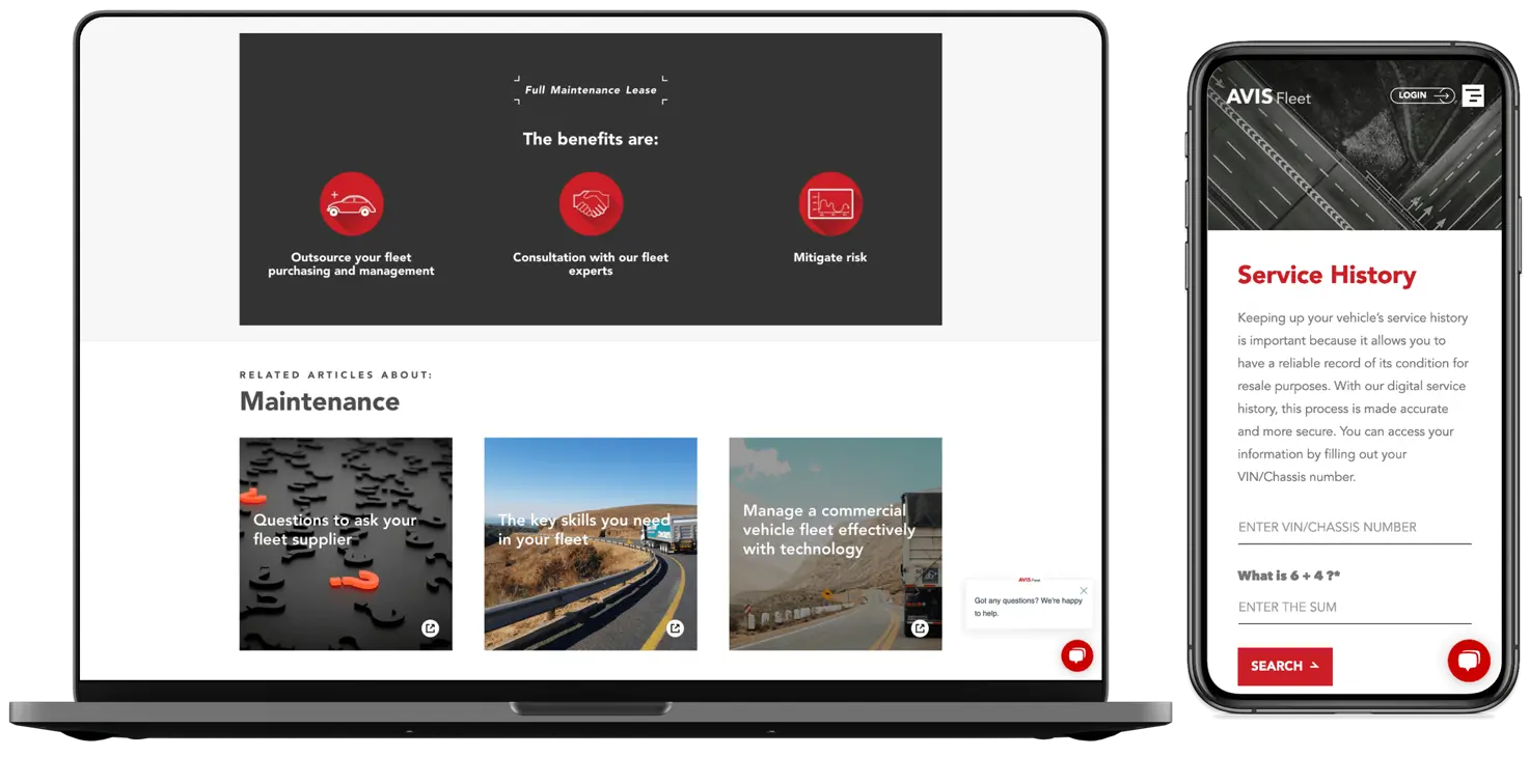 website example 5