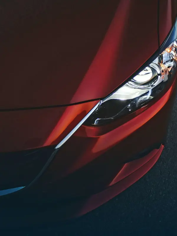 avis fleet