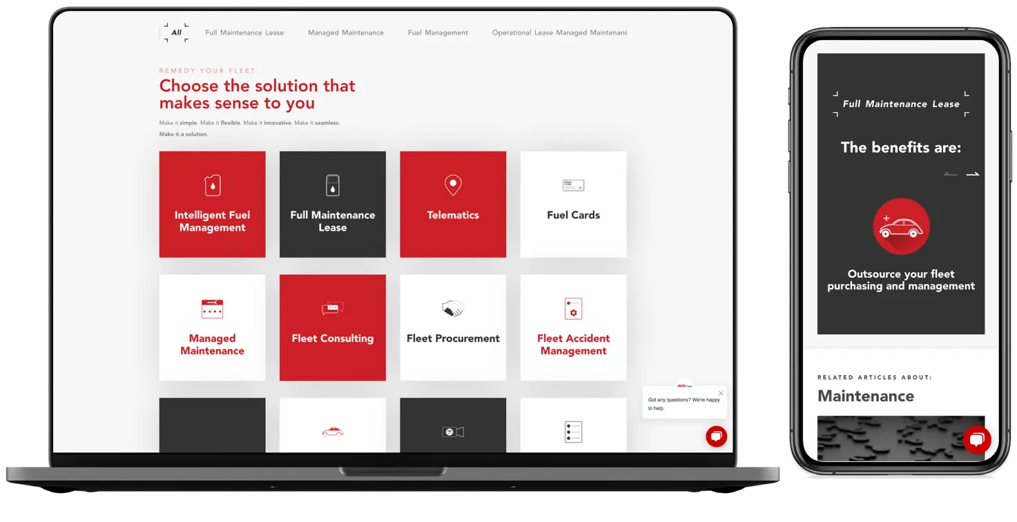 website example 2